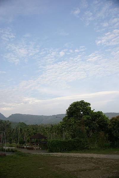 DSC00780.jpg
