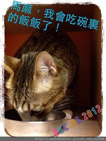 乖乖吃飯