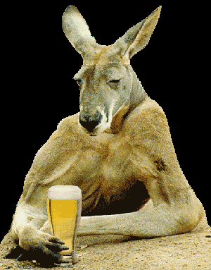 kangaroo%20at%20the%20bar.gif