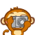 monkey - camara.gif