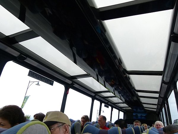 glass ceiling bus.JPG