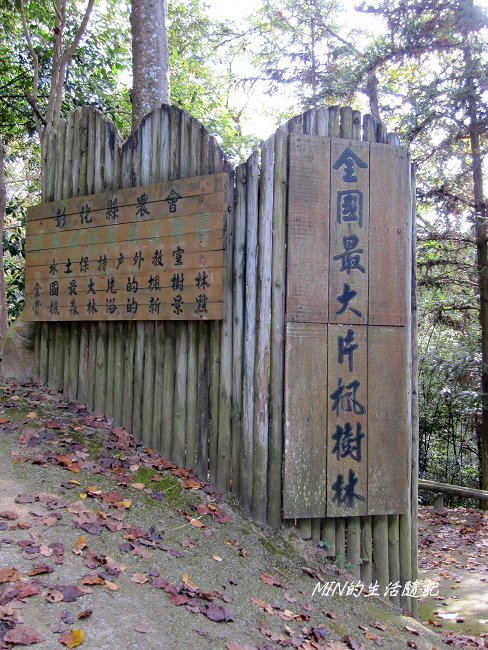 99年東勢林場 (20).JPG