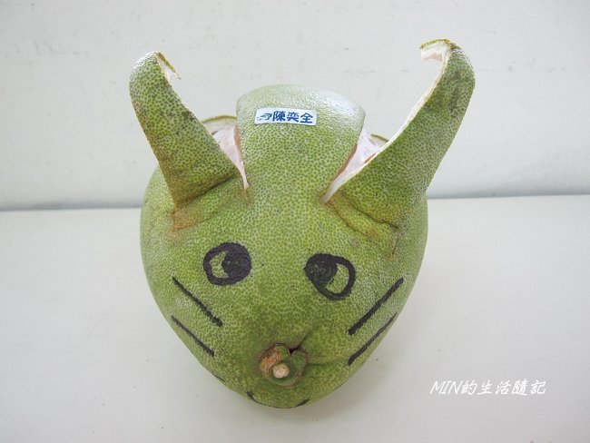 創意柚子造型 (13).JPG