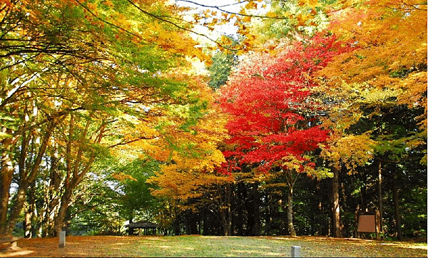 高山 城山公園2.png