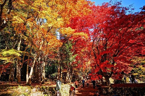 雞足寺 滋賀 紅葉4.jpg