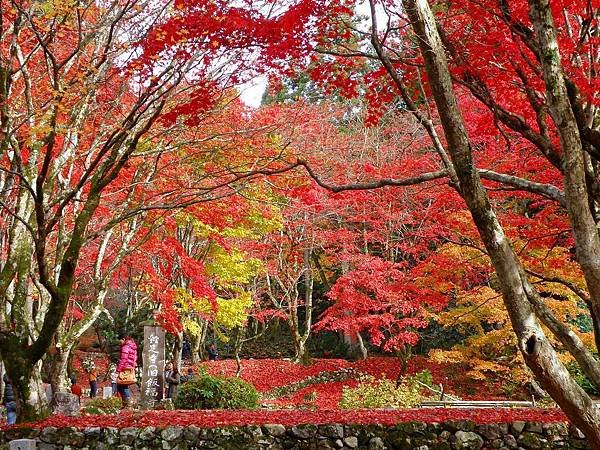 雞足寺 滋賀 紅葉7.jpg