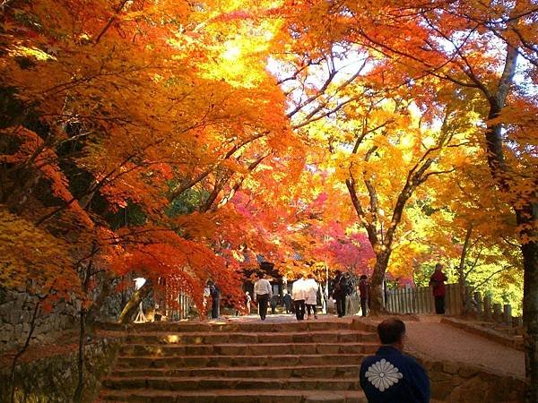 金剛輪寺 紅葉8.jpg