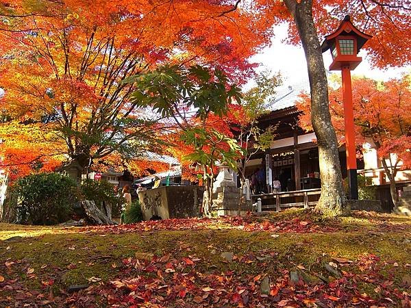 寂光院 紅葉 名古屋2.jpg