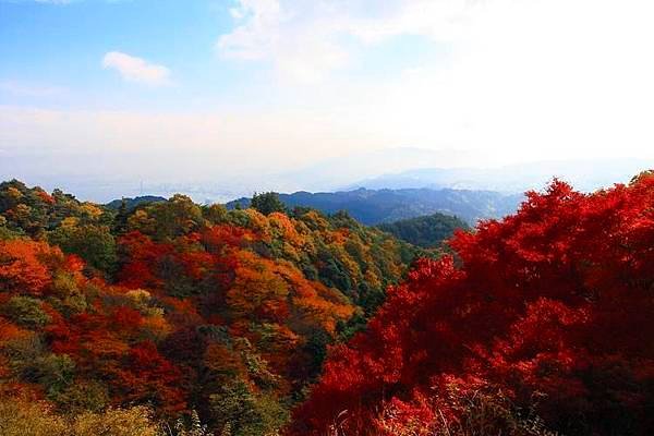 比叡山 紅葉4.jpg