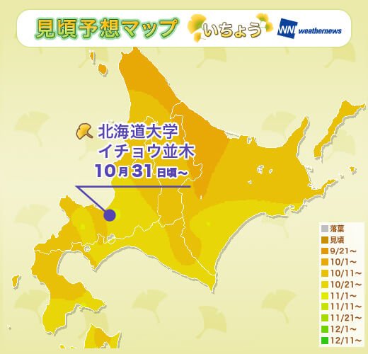 2016 北海道銀杏前線.jpg