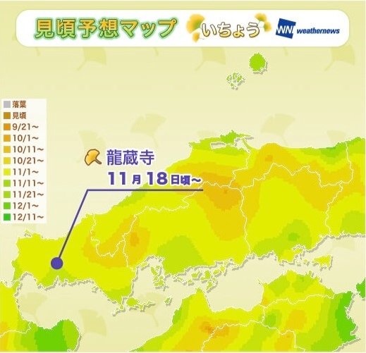 2016 中國 (山陽%26;山陰地方合稱) 銀杏前線.jpg