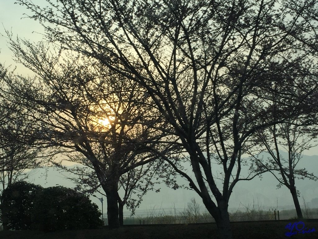 IMG_0685.JPG
