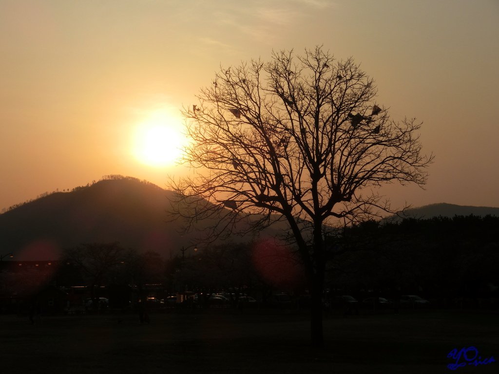CIMG0685.JPG