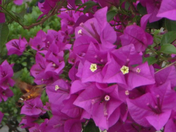 DSCN3848.JPG