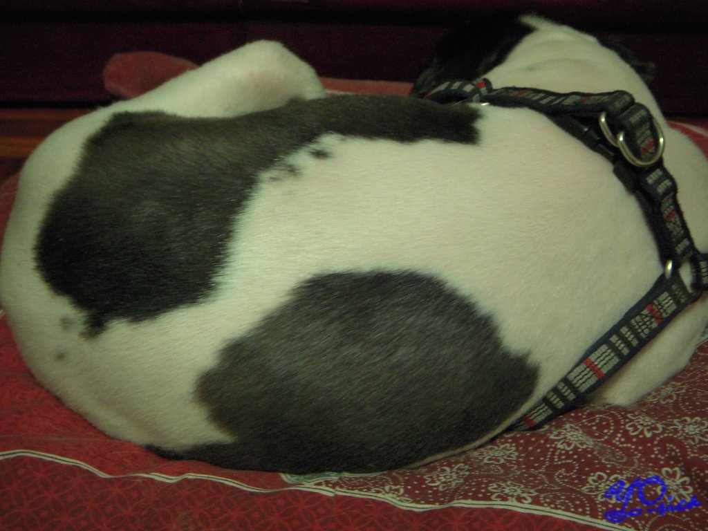 DSCN7892.JPG