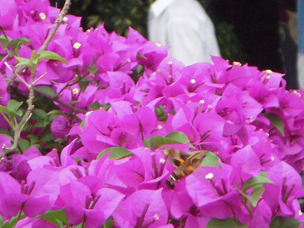 DSCN3851.JPG