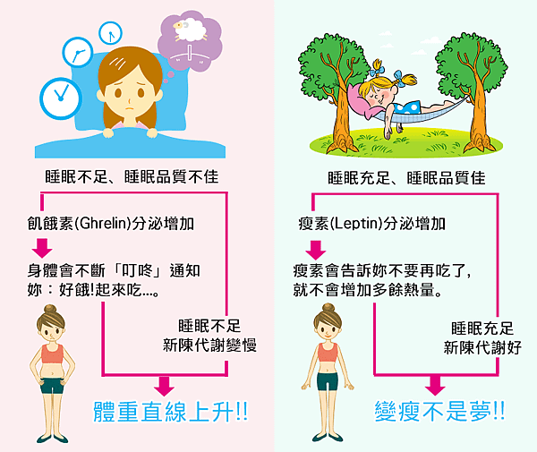 澱粉集中晚餐.png