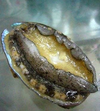 20120523043216976