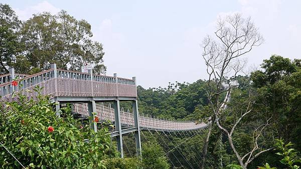 0723天空之橋 (9).JPG
