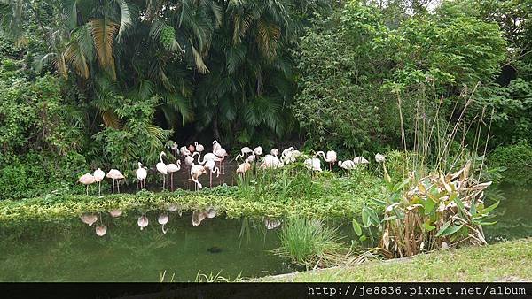 1102動物園 002.JPG