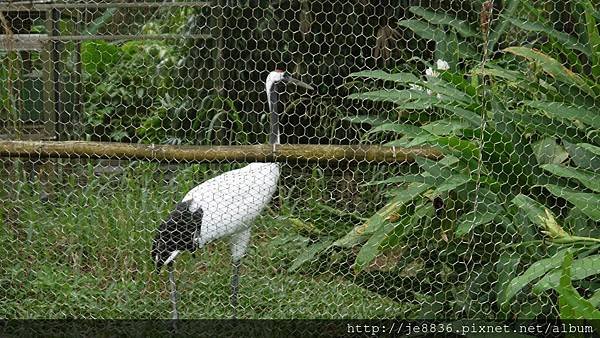 1102動物園 028.JPG