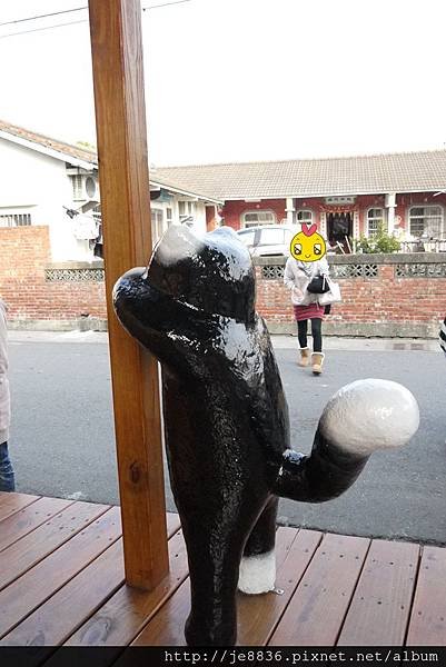 1228頂溪貓村 (24)