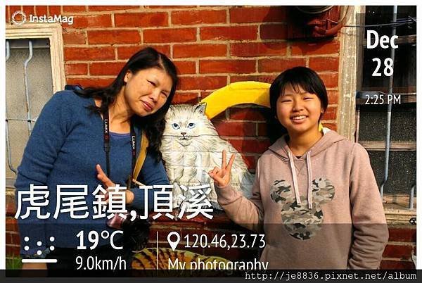 1228頂溪貓村 (34)