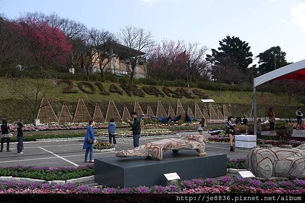 0129陽明山花季 (11).JPG