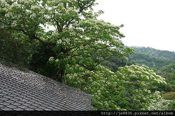 0427獅山遊客中心 (7).JPG