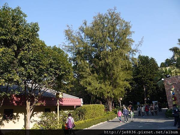 0123香港海洋公園 (155).JPG