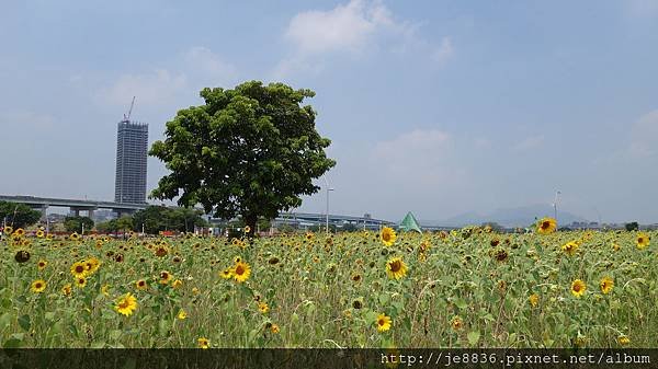 0903幸福水漾公園 015.JPG