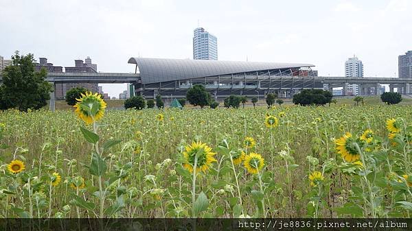 0903幸福水漾公園 022.JPG