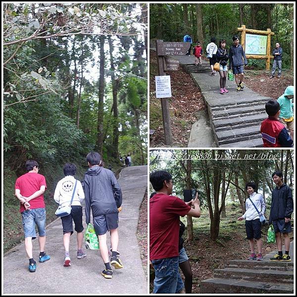 1004東眼山 (4)