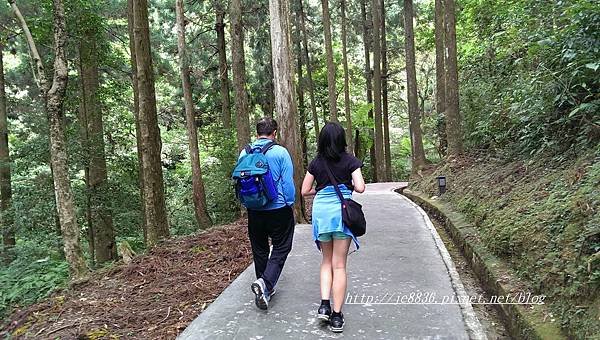 1004東眼山 (12)