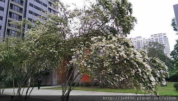 0315滿庭芳 (1).jpg