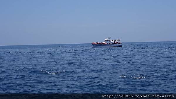 0726龜山島賞鯨一日遊 089.JPG