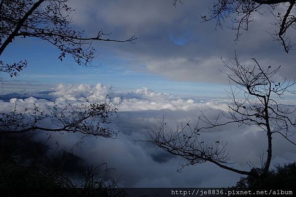 1204見晴古道 (8).JPG