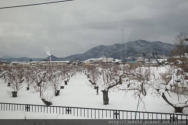 0121新青森-弘前市 (31).JPG