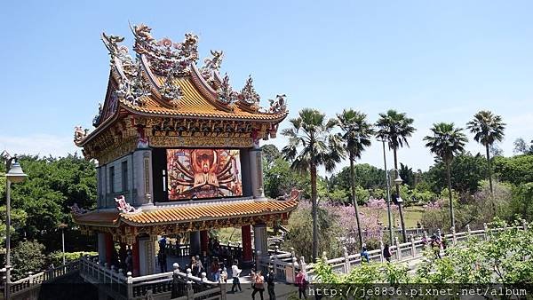 0403竹林寺櫻花 (10).JPG