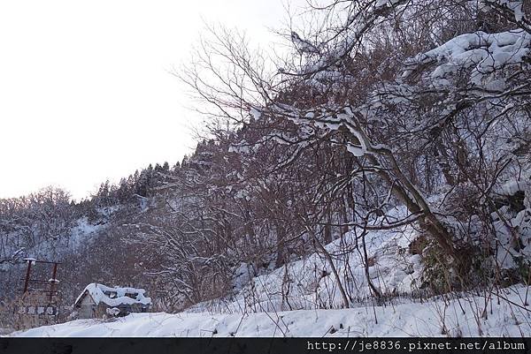 0121往秋田的道路 (7).JPG