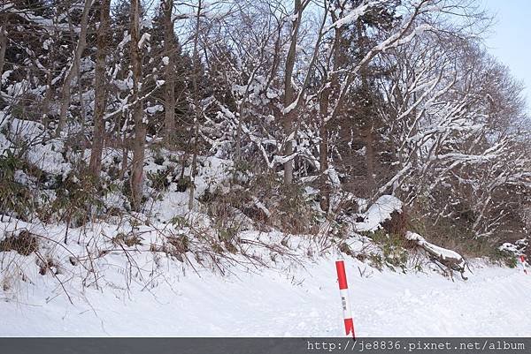 0121往秋田的道路 (10).JPG