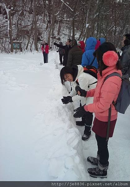 0122十和田湖神社手機版 (5).jpg