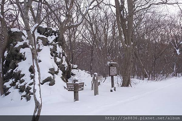 0122十和田湖 (13).JPG