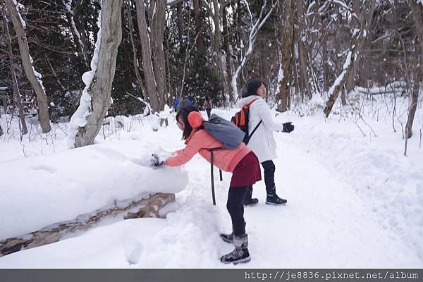 0122十和田湖 (18).JPG