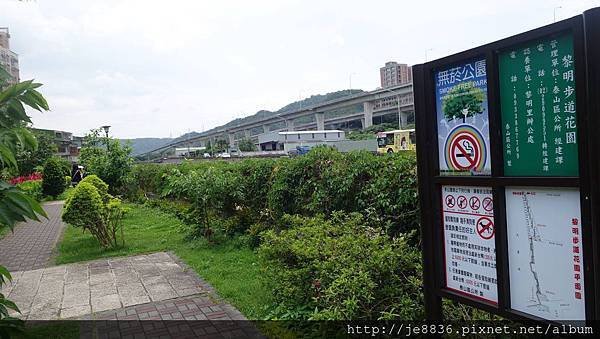 2017泰山黎明花園步道21.jpg