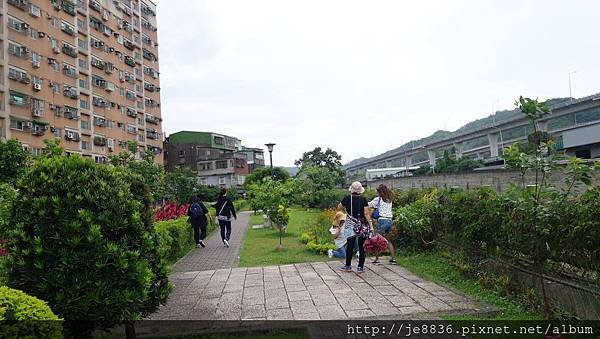 2017泰山黎明花園步道24.jpg