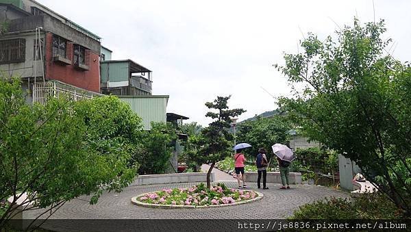 2017泰山黎明花園步道29.jpg