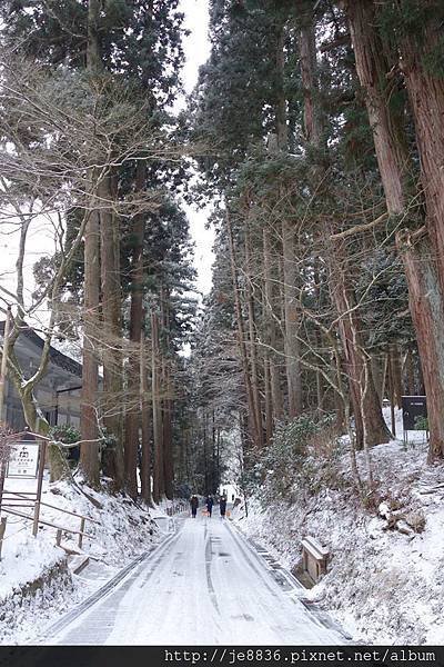 0123金色堂中尊寺94.jpg