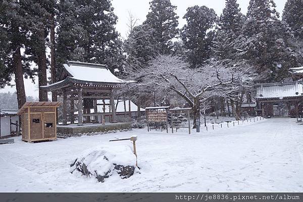 0123金色堂中尊寺39.jpg