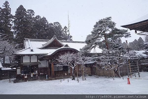 0123金色堂中尊寺40.jpg